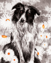 Dogs - Collie - Greeting Card - V_113
