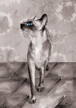 Cats - Blue eyed - Greeting Card - V_126