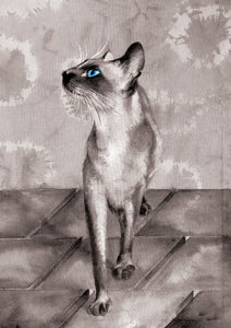 Cats - Blue eyed - Greeting Card - V_126