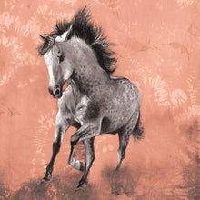 Horse - Dappled Grey - Greeting Card - S_53