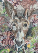 Freemont Recycled - Frank the Donkey 1 meter remaining - F0_4