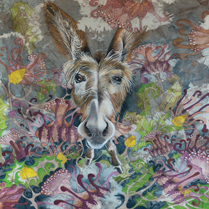 New Wildlife - Frank The Donkey - S_100