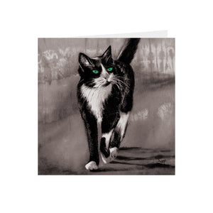 Cats - Green eyed - Greeting Card -S_101