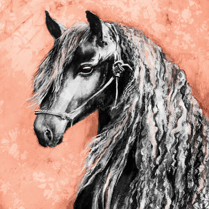 Horse - Friesian Stallion - Greeting Card - S_50