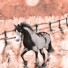 Horse -  Piebald  - Greeting Card - S_51
