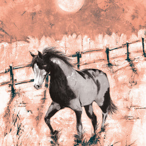 Horse -  Piebald  - Greeting Card - S_51
