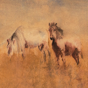 Horse - Moor Ponies - S_80