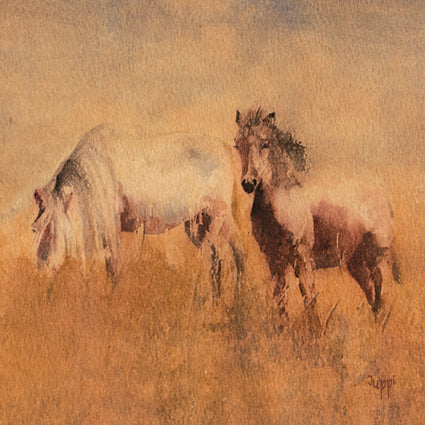 Horse - Moor Ponies - S_80