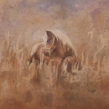 Horse - Resting Moorland Pony - S_81