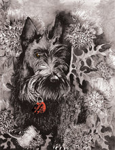 Dogs - Scotty - Greeting Card - V_117