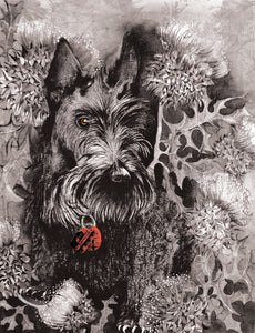 Dogs - Scotty - Greeting Card - V_117