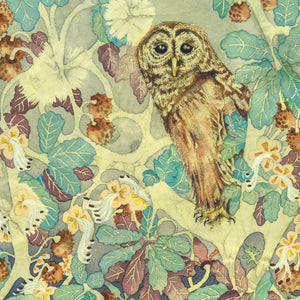 Owls in Wonderland - Hoot Owl - Greeting Card - S_17