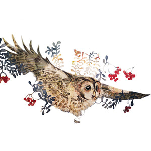 Owls in Wonderland - Flying Owl - Greeting Card - S_27
