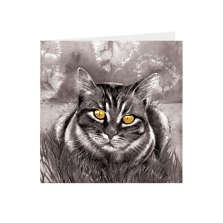 Cats - Yellow eyed - Greeting Card - S_47