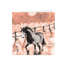 Horse -  Piebald  - Greeting Card - S_51