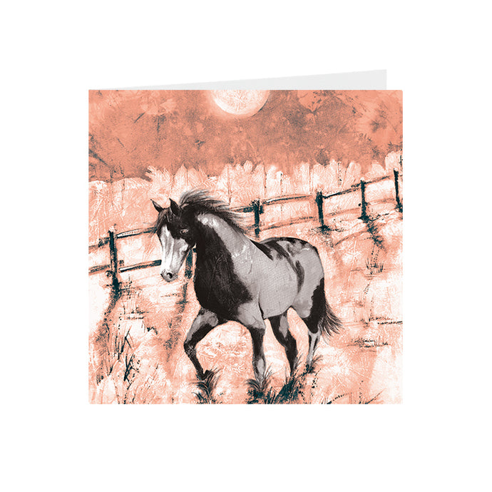Horse -  Piebald  - Greeting Card - S_51