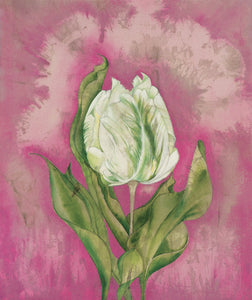 Tulip - Greeting Card - V_105