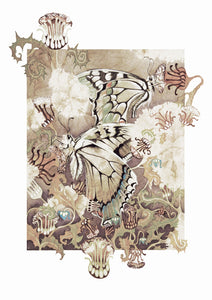 Butterflies - Greeting Card - V_06