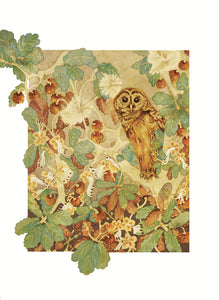 Owls in Wonderland - Hoot Owl - Greeting Card - V_08