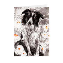 Dogs - Collie - Greeting Card - V_113