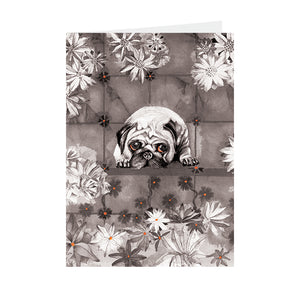 Dogs - Pug - Greeting Card - V_114