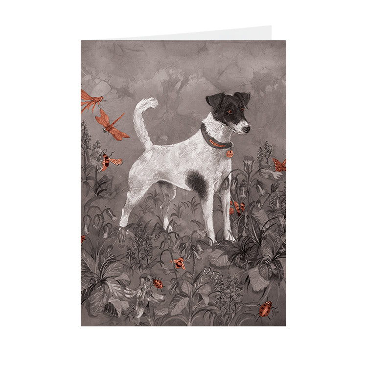 Dogs - Teddy - Greeting Card - V_116