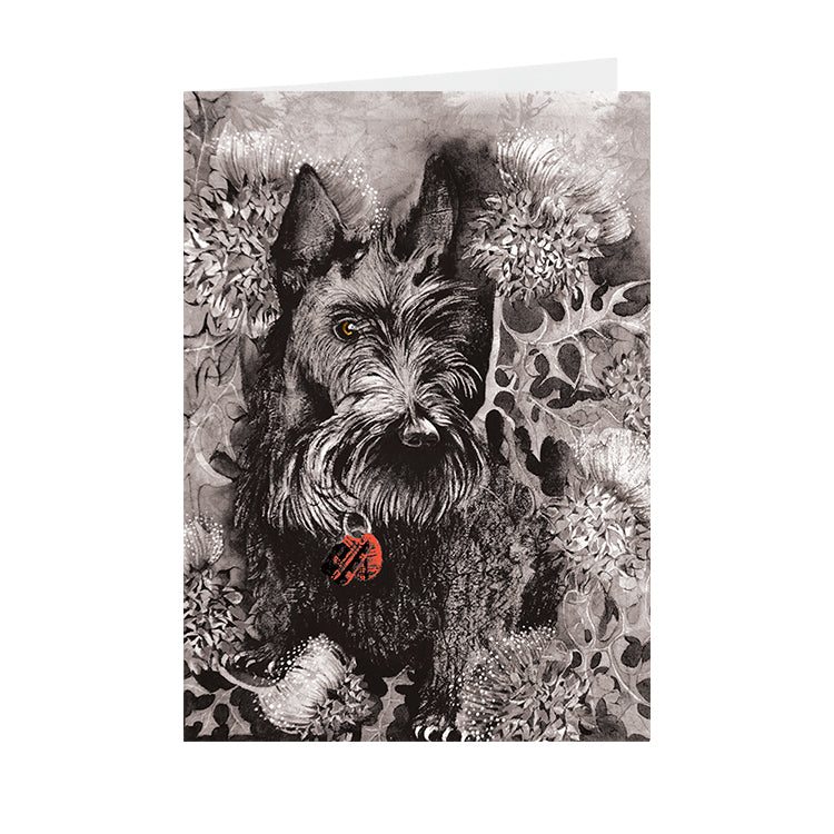Dogs - Scotty - Greeting Card - V_117