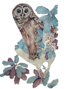 Owls in Wonderland - Hoot Owl - Greeting Card - V_42