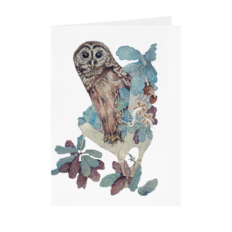 Owls in Wonderland - Hoot Owl - Greeting Card - V_42
