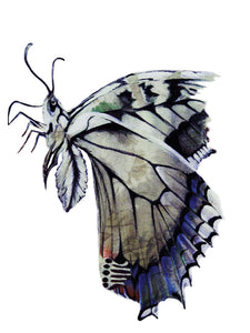 Butterfly - Greeting Card - V_47