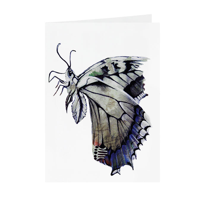 Butterfly - Greeting Card - V_47
